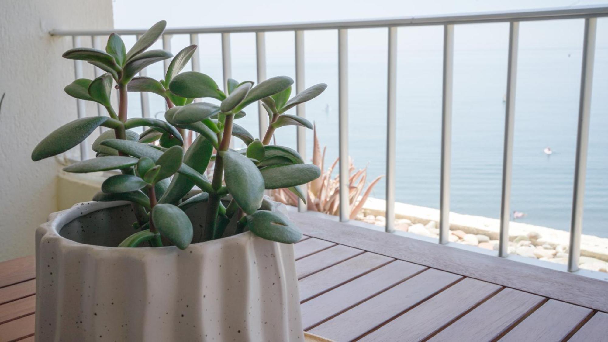 Apartamento Brisa Del Mar Almuñécar Exterior foto